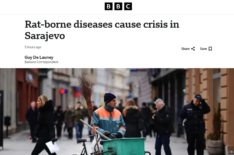 BBC piše o najezdi glodavaca u BiH: U Sarajevu je opet Godina štakora