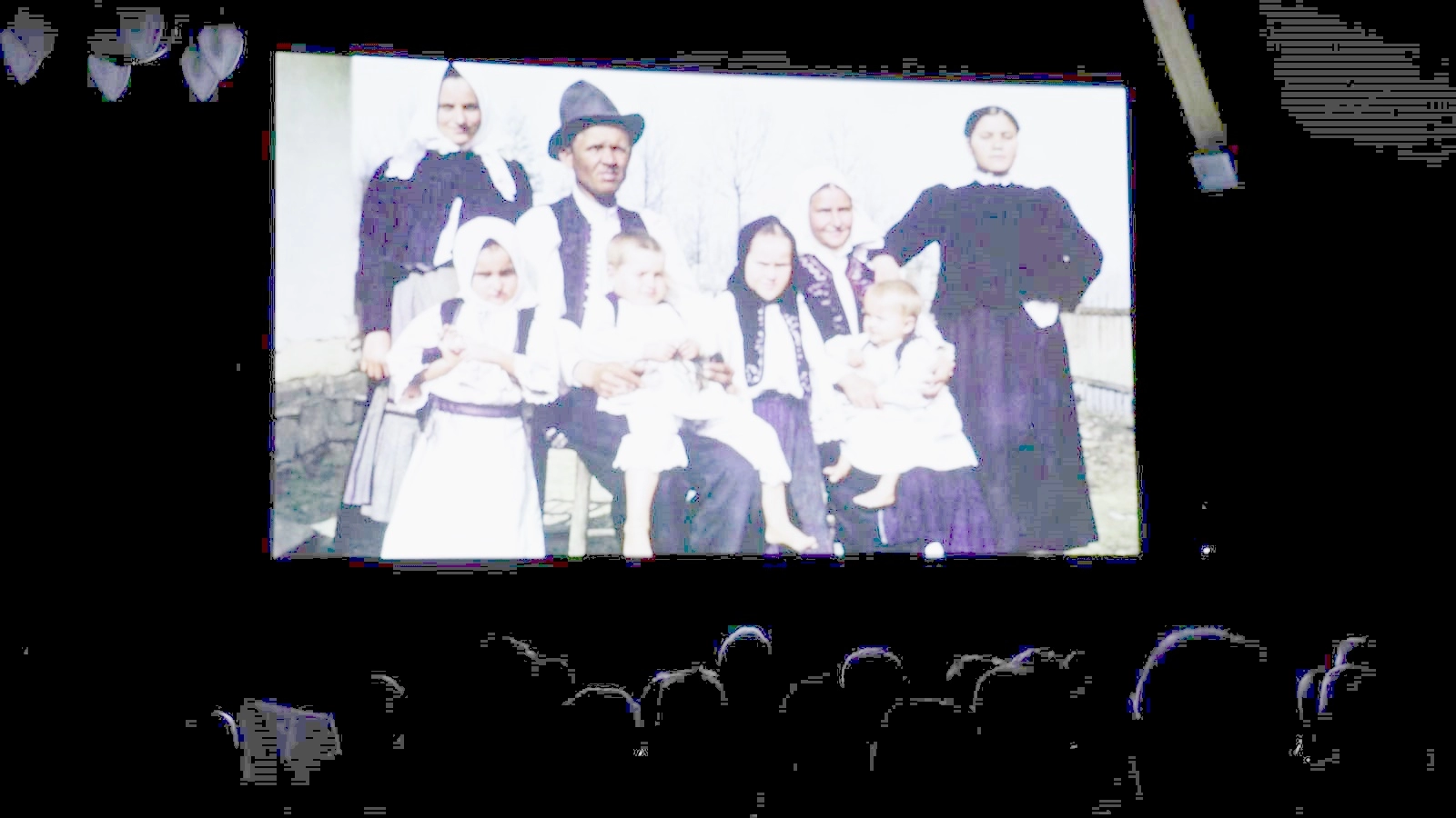 Film posavina1