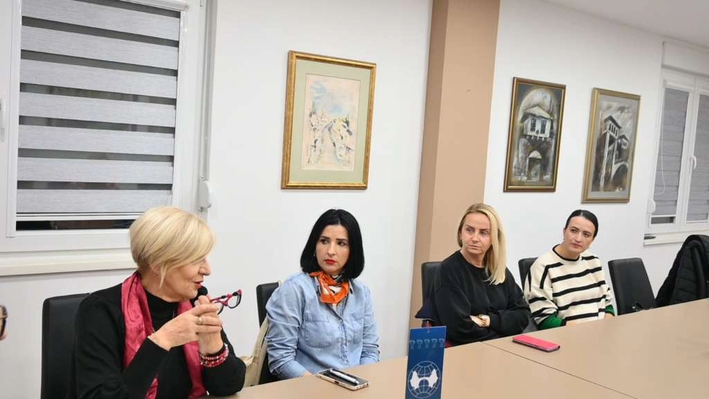 Umrežavanje i jačanje suradnje NVO sektora