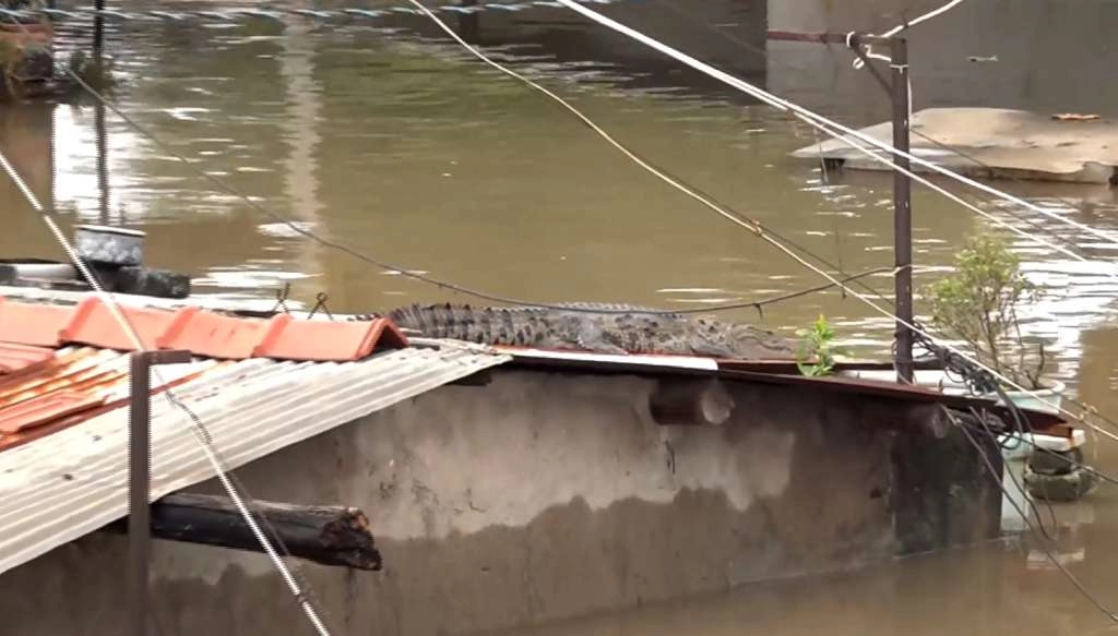 Poplave i klizišta u indijskom Kašmiru odnijele 60 života, više od 100 nestalih