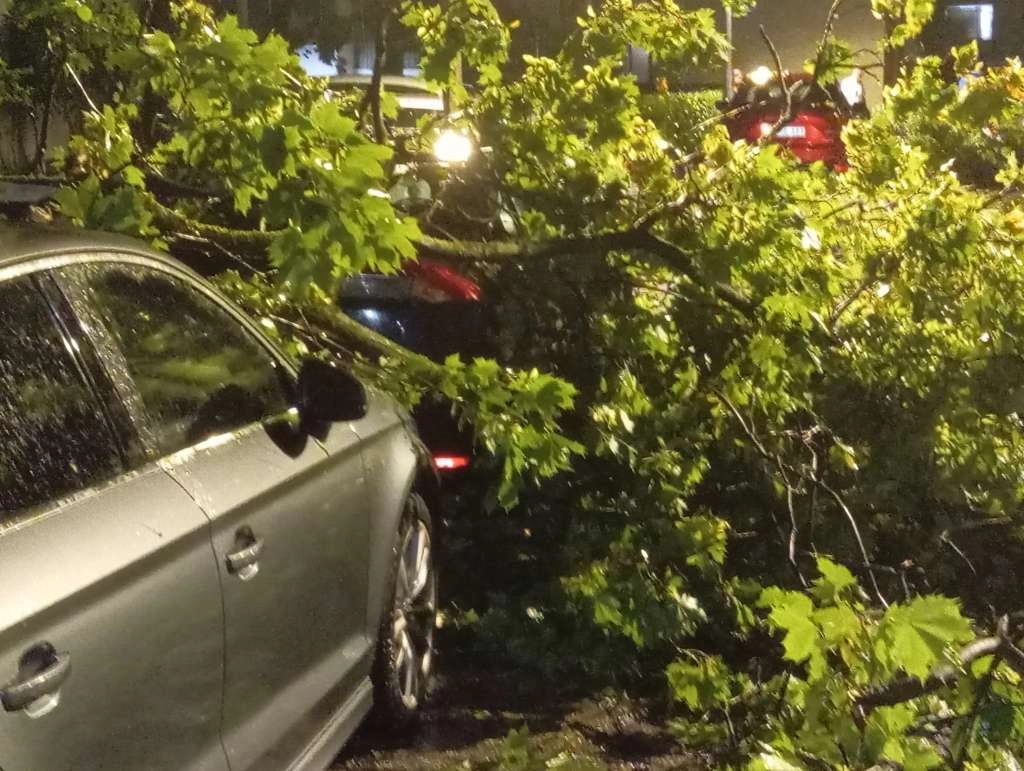 L 85dee3515112ec6c8fac5e2f4dacdfd6