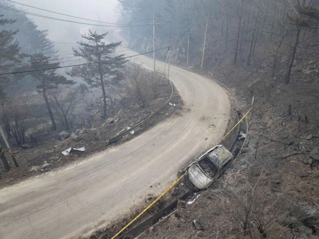 Najmanje 18 poginulih u šumskim požarima u Južnoj Koreji
