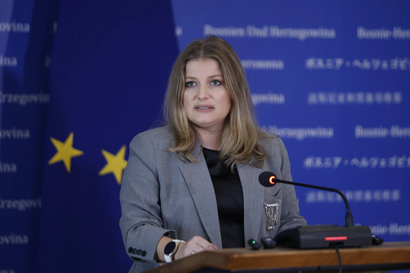 Karamehić - Abazović: Glavni pregovarač mora biti osoba prihvatljiva svima u BiH