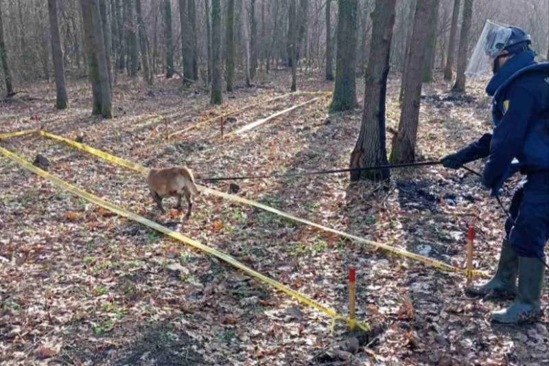 BiH i 30 godina od završetka ratnih djelovanja zemlja s izraženim problemom minske opasnosti
