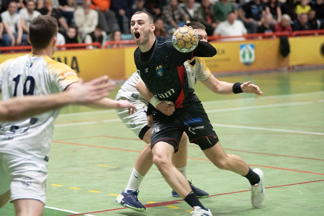 Pavlovic4