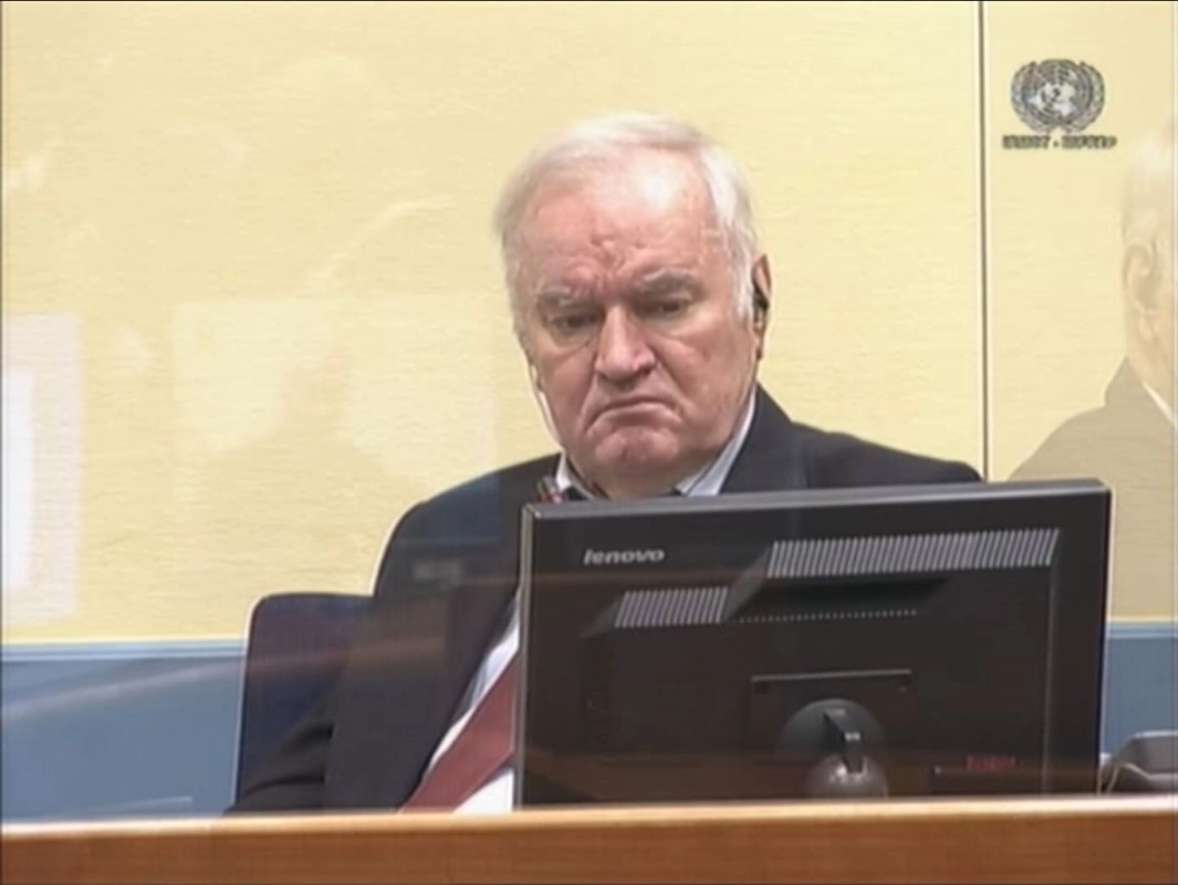 Za što je sve osuđen Ratko Mladić