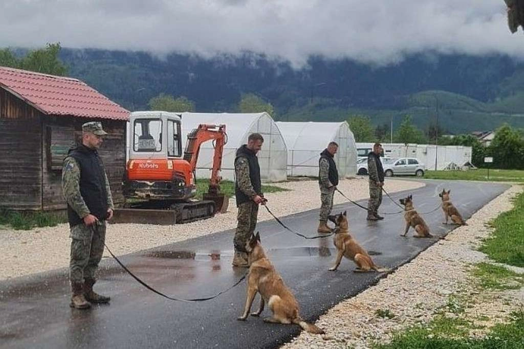 Norveška NPA donirala nove deminerske pse za MO BiH