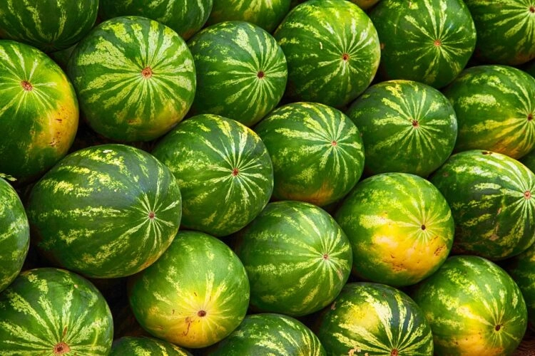 Kora lubenice je zdrava, evo kako je možete iskoristiti