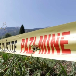 U minskom incidentu kod Bugojna uginulo desetak ovaca